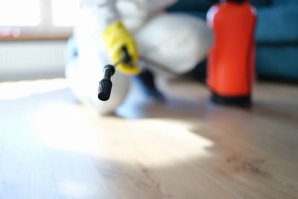 Best Residential Mold Inspection & Testing  in Kapaau, HI